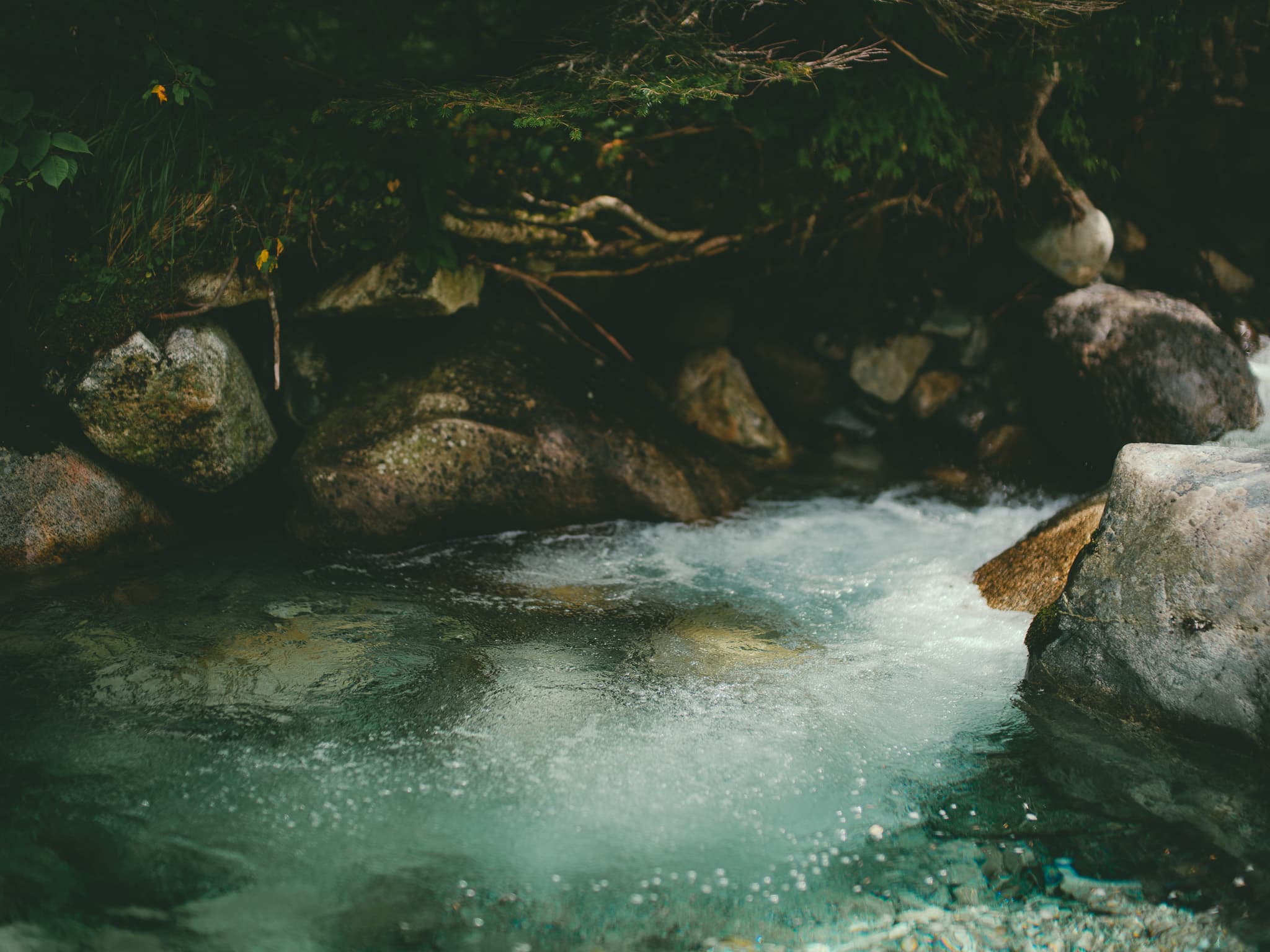 黒部源流の清流