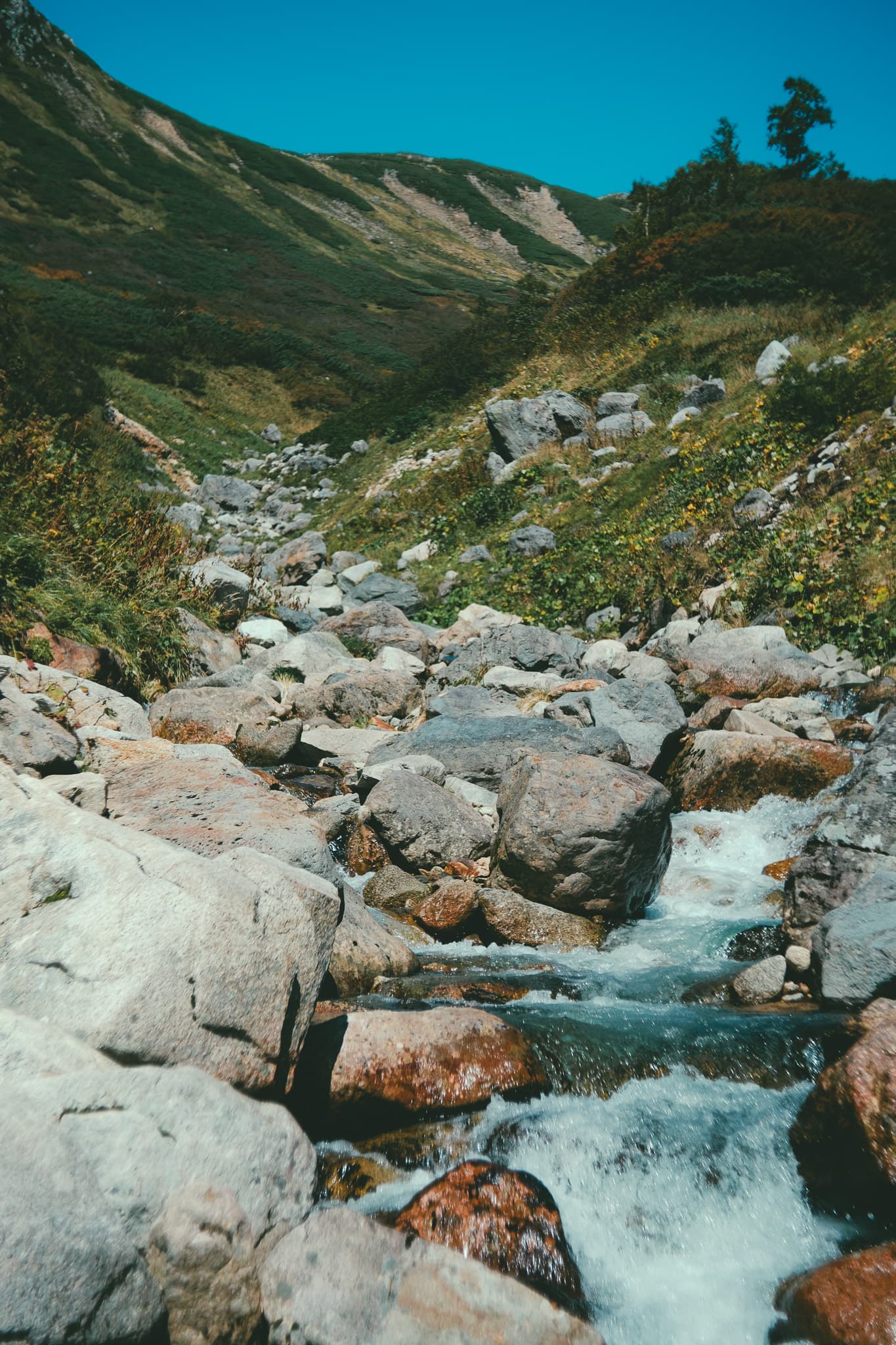 黒部源流の風景
