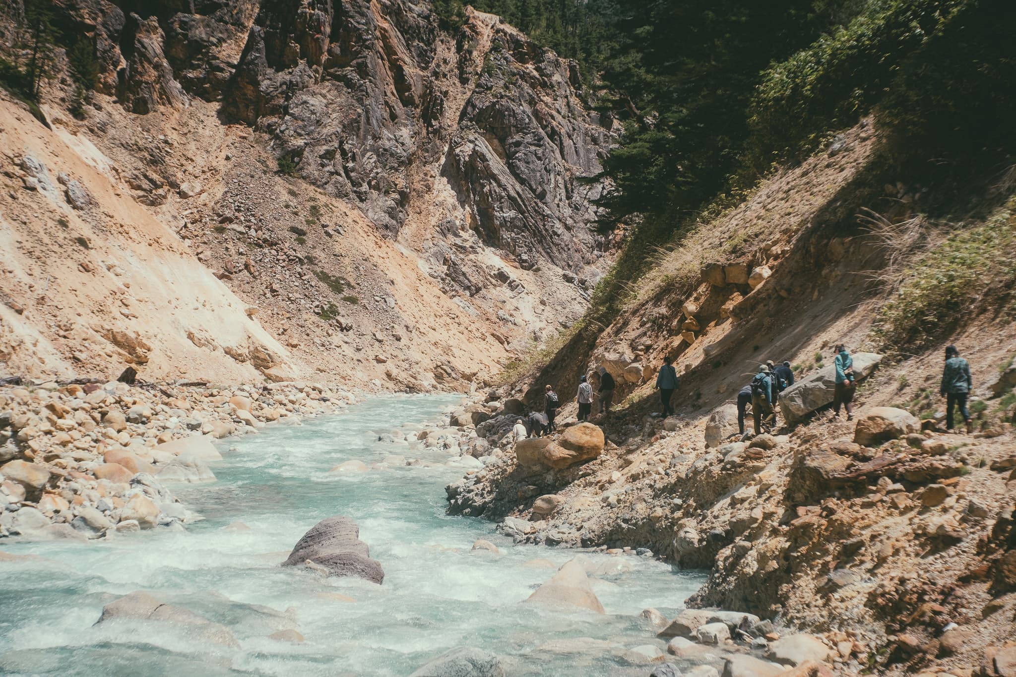 フィールドウォーク - ツアーの思い出