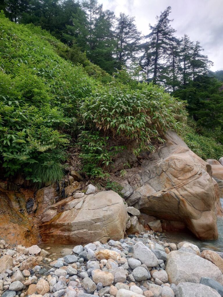 右岸高巻き